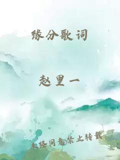 缘分歌词