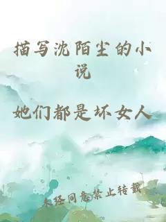 描写沈陌尘的小说