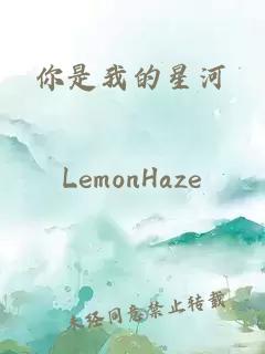 你是我的星河